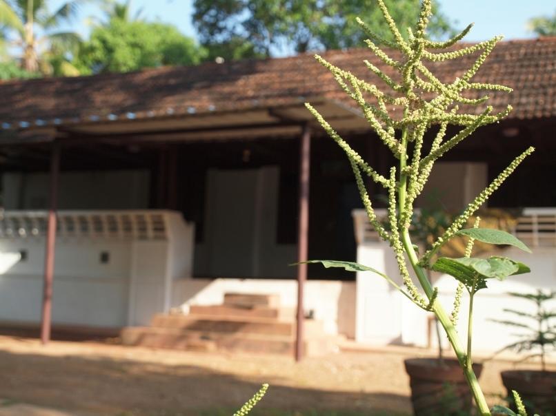 Chedi Spring Valley Athirappilly Bagian luar foto